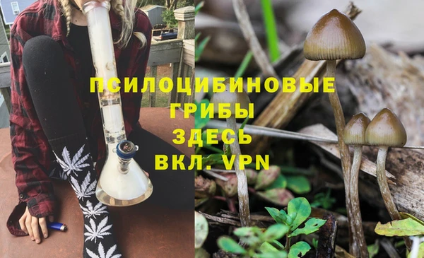 гидра Покачи