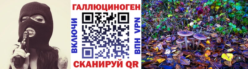 Галлюциногенные грибы Psilocybine cubensis Строитель